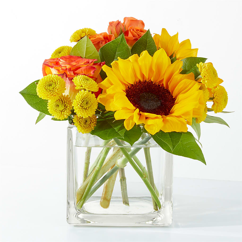 Picnic in the Park Bouquet – Occasions Of Love, Huntersville NC