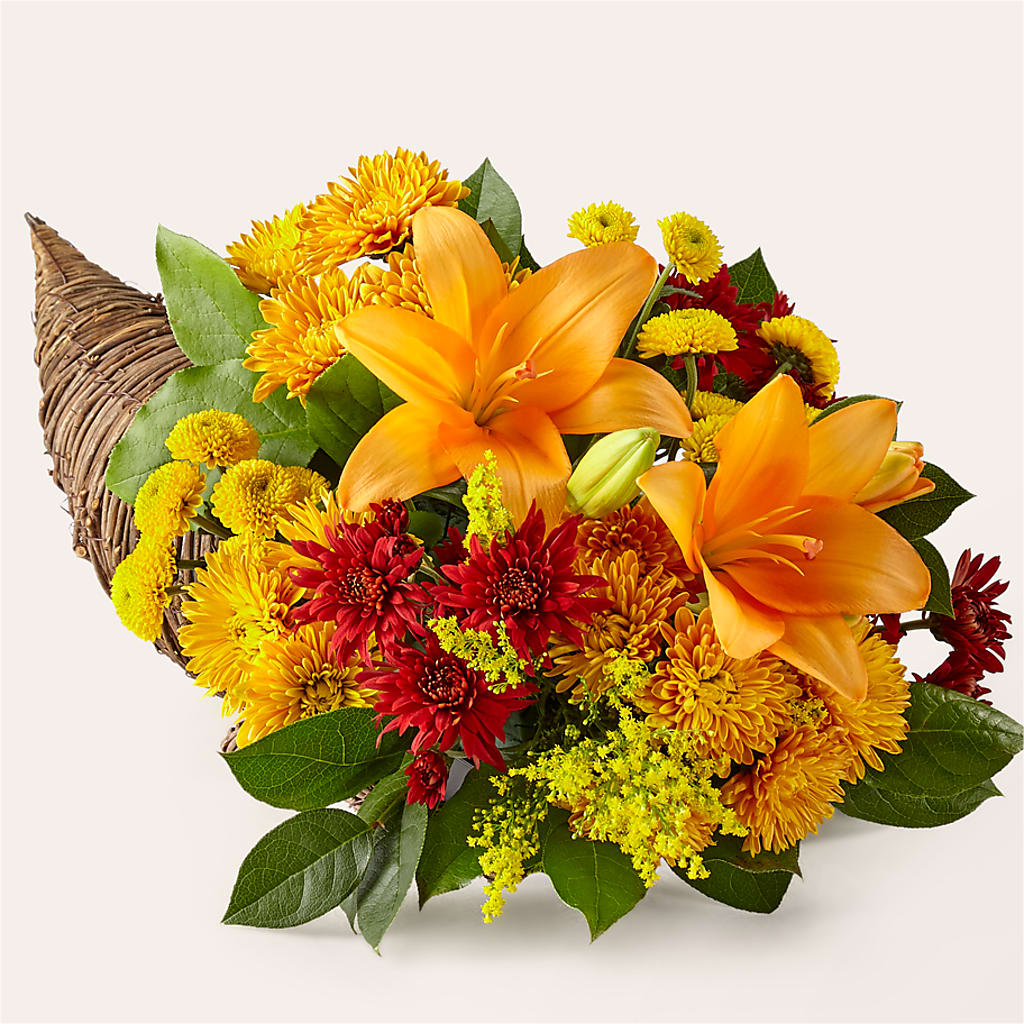 Feast of Color Cornucopia – Occasions Of Love, Huntersville NC
