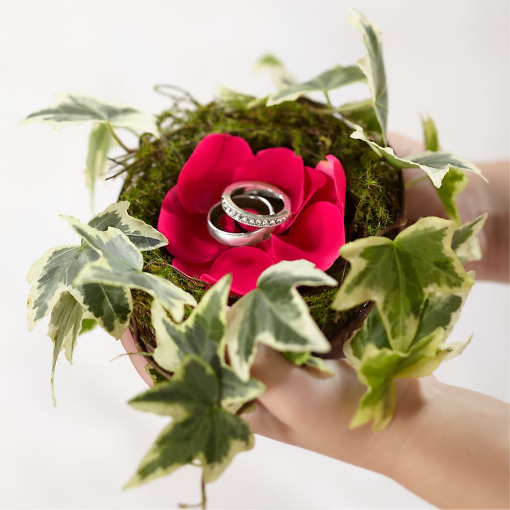 Lila Rose Ring Nest – Occasions Of Love, Huntersville NC