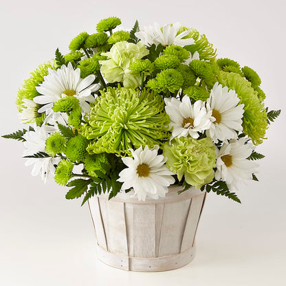 Lucky Charm Basket (Standard) –  Occasions Of Love, Huntersville NC