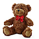 Adorable Plush Bear –  Occasions Of Love, Huntersville NC