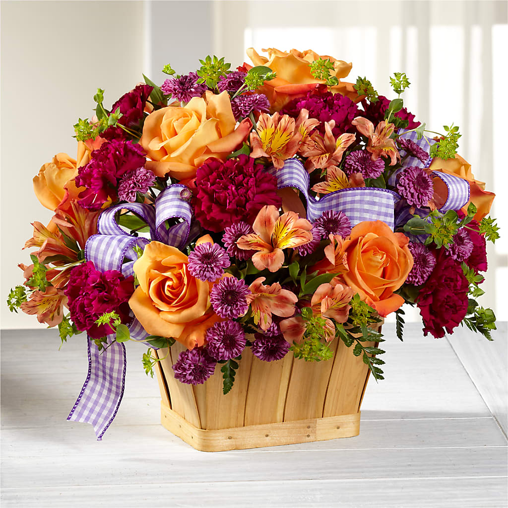 New Dream Basket