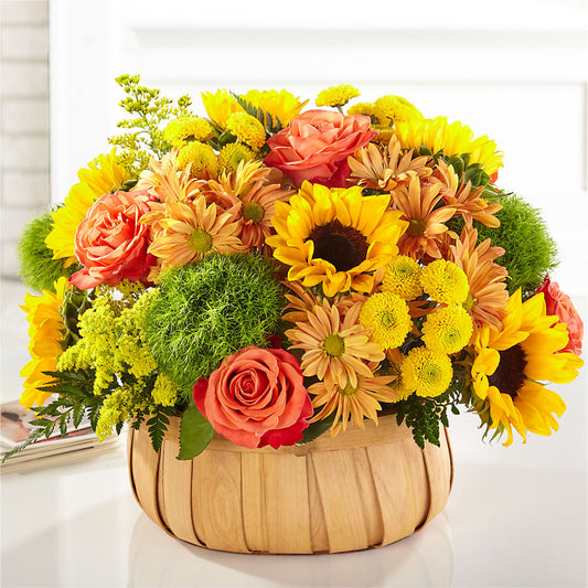 Harvest Sunflower Basket –  Occasions Of Love, Huntersville NC