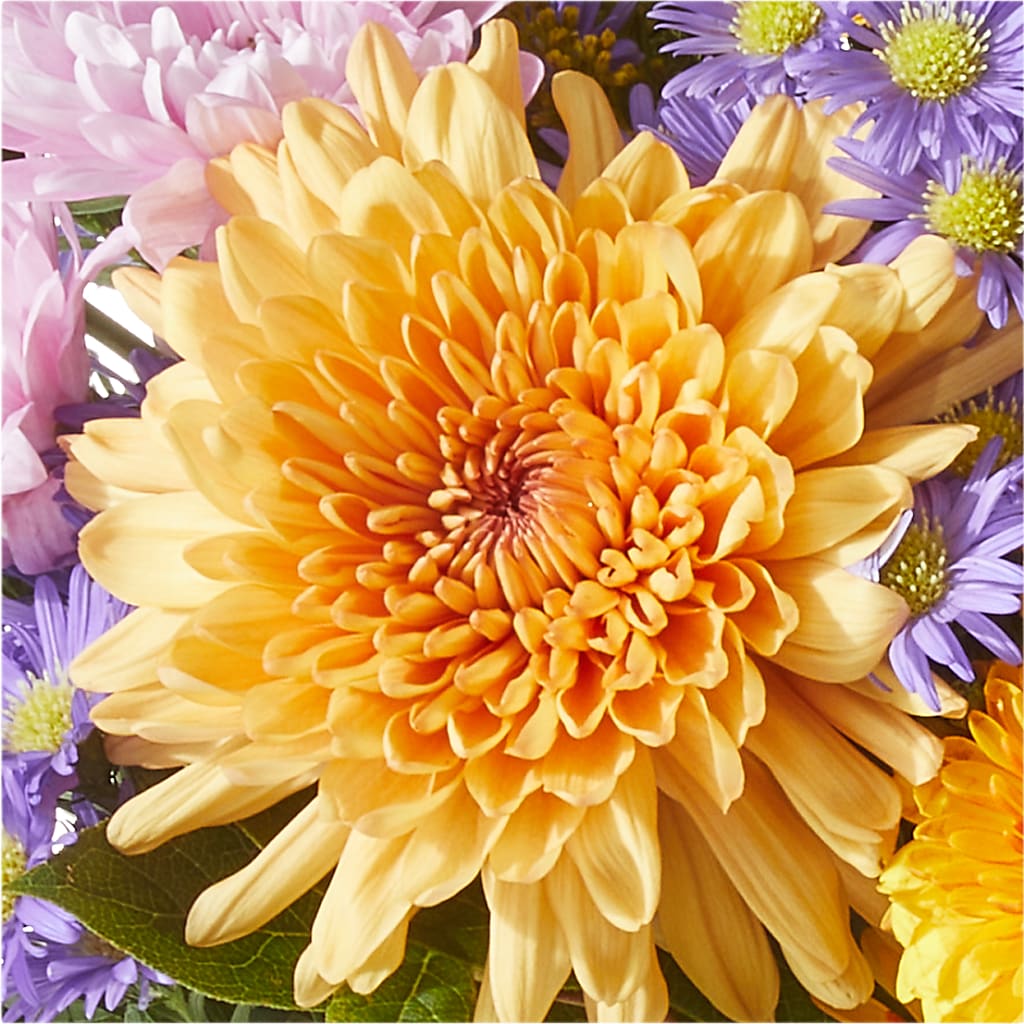 Countryside Bouquet –  Occasions Of Love, Huntersville NC