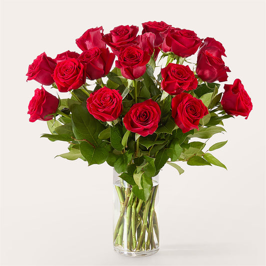The One Red Rose Bouquet –  Occasions Of Love, Huntersville NC